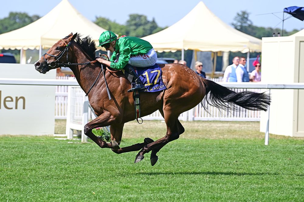 Candleford and Tom Marquand