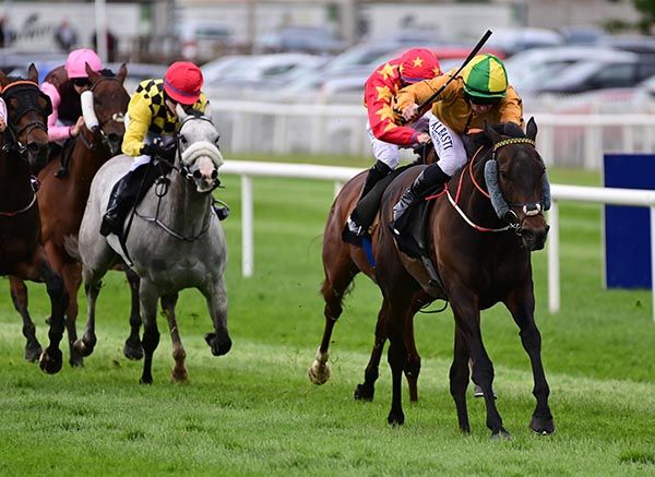 Sister Rosetta is ridden out by Gary Carroll
