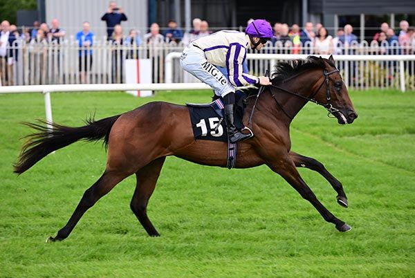 Goa Gajah delivers under Mikey Sheehy