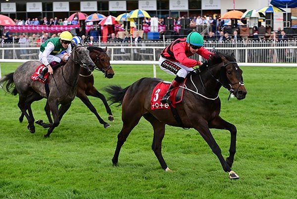 Chesterton leads home his rivals under Jake Coen