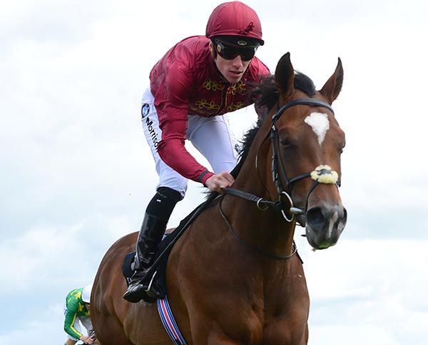 Spartan Army and Shane Crosse 