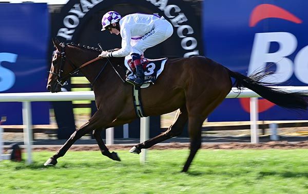 Dancila and Kevin Manning