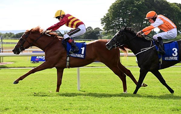 Dark Note fends off Girl Crush