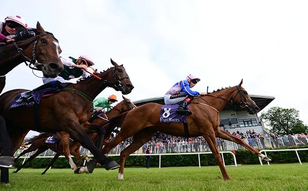 Gracesolution in front where it counts