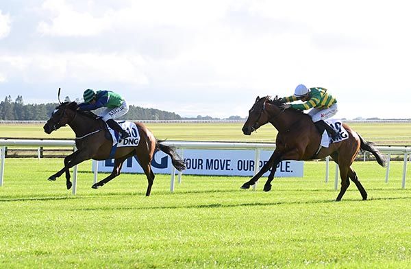 Common Practice, near side, wears down Alma Libre, far side