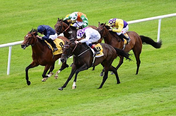Wexford Native, near side, gets to The Acropolis