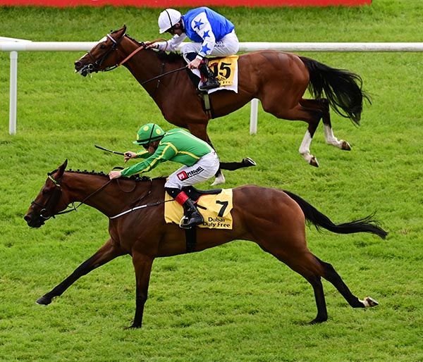 Fastnet Crown, near side, claims McTigue