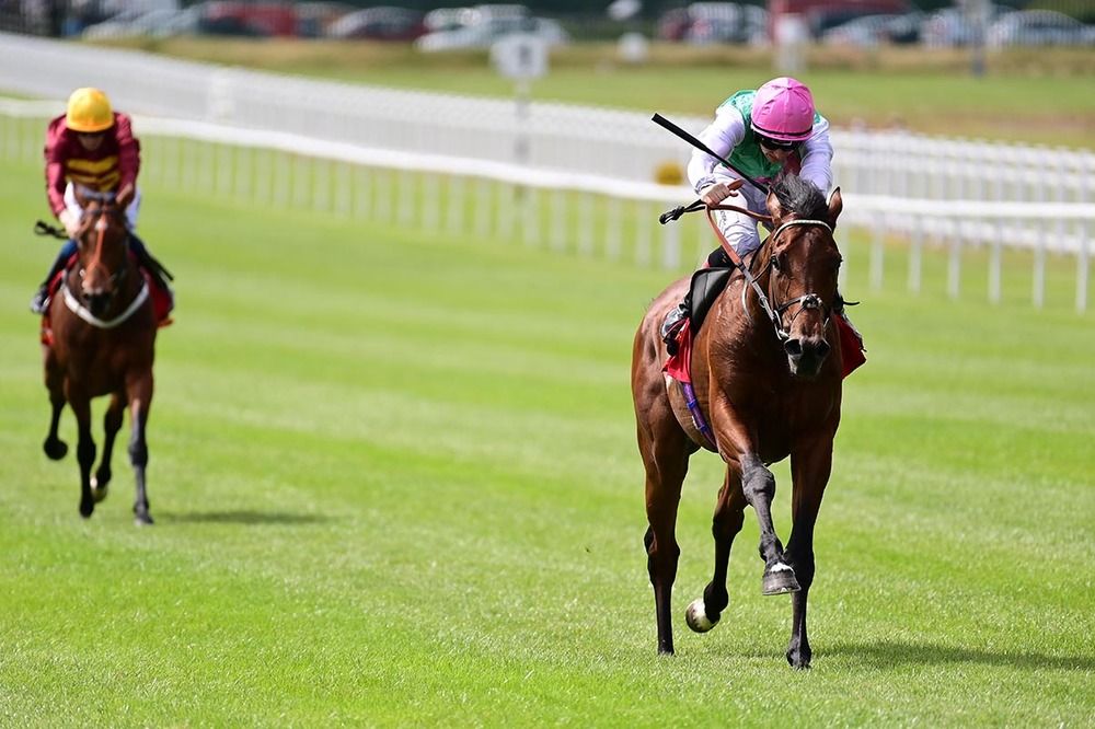 Westover winning the Irish Derby