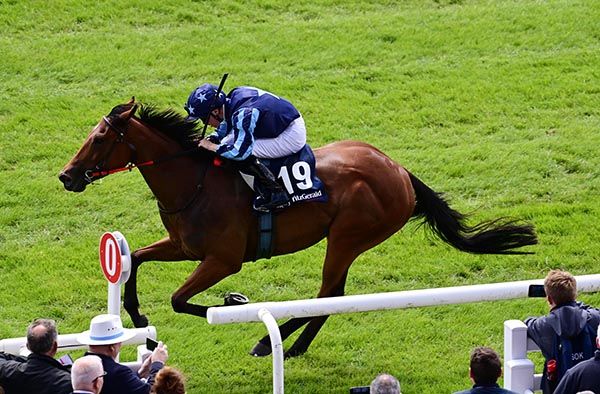 Coumshingaun followed up Listowel win 