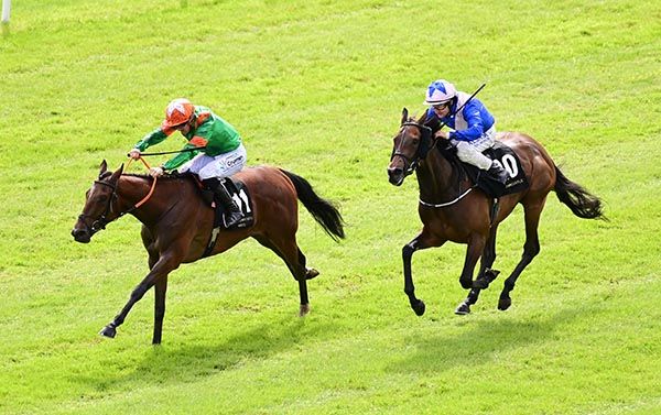 Self Belief made a nice winning debut under Billy Lee 