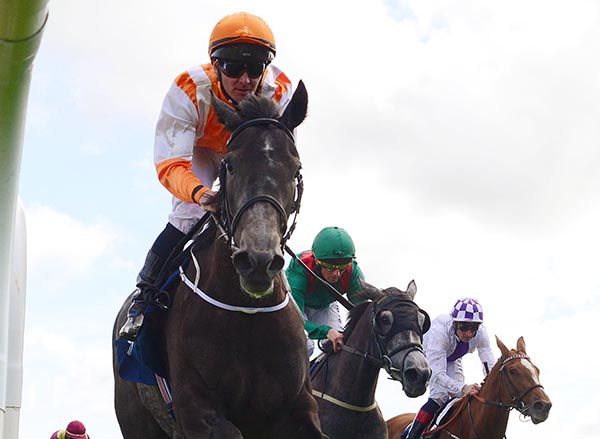 Girl Crush winning under Gary Carroll