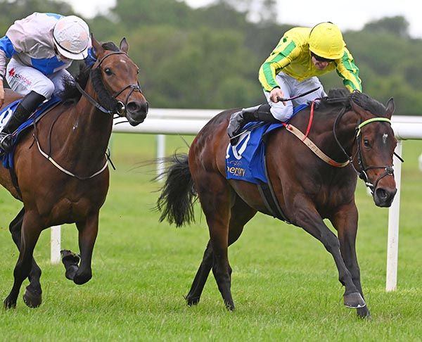 Aristovic, right, toughs it out from Linger For Longer 