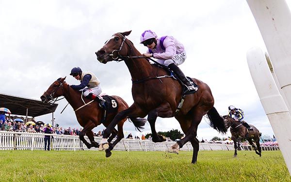 All Things Nice (near side) just holds Semantics 