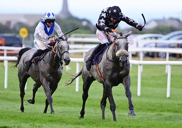 Hazelhatch Lady (noseband) and Derek O'Connor 