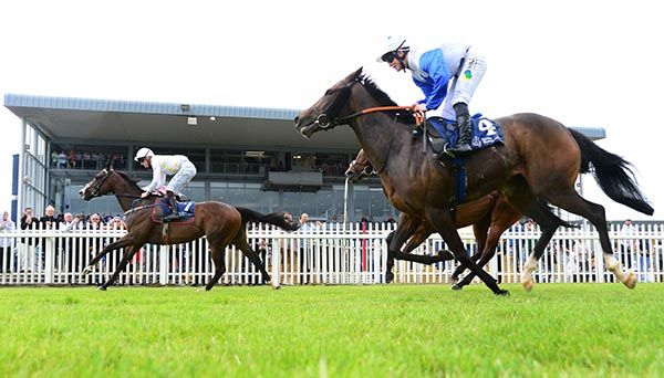 Showmolina wins at Naas under Joey Sheridan 