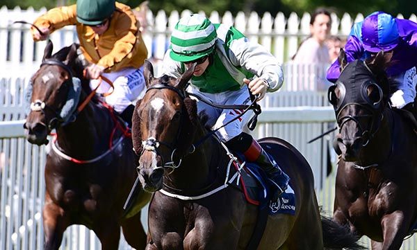 Pretty Rebel and Colin Keane 