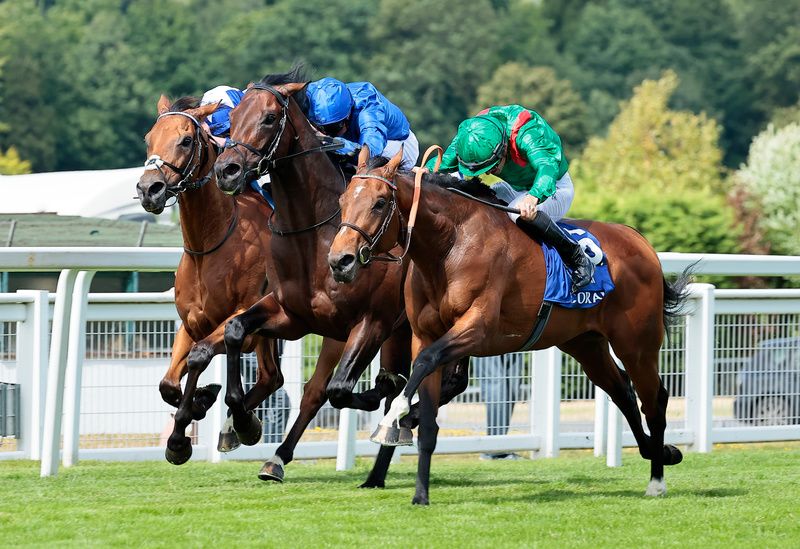 Vadeni (nearest) winning at Sandown