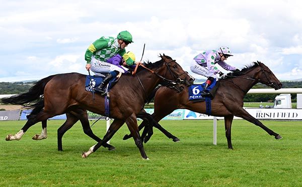 Heather Bear holds off Rotolo with Pale Moonlight in between