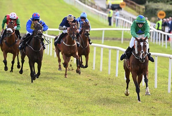 Penny Jar wins readily under Paddy O'Brien 