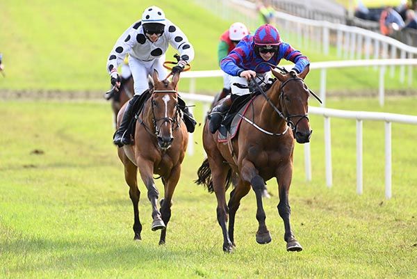 Inforapenny won for owner Pat McCarthy at Bellewstown