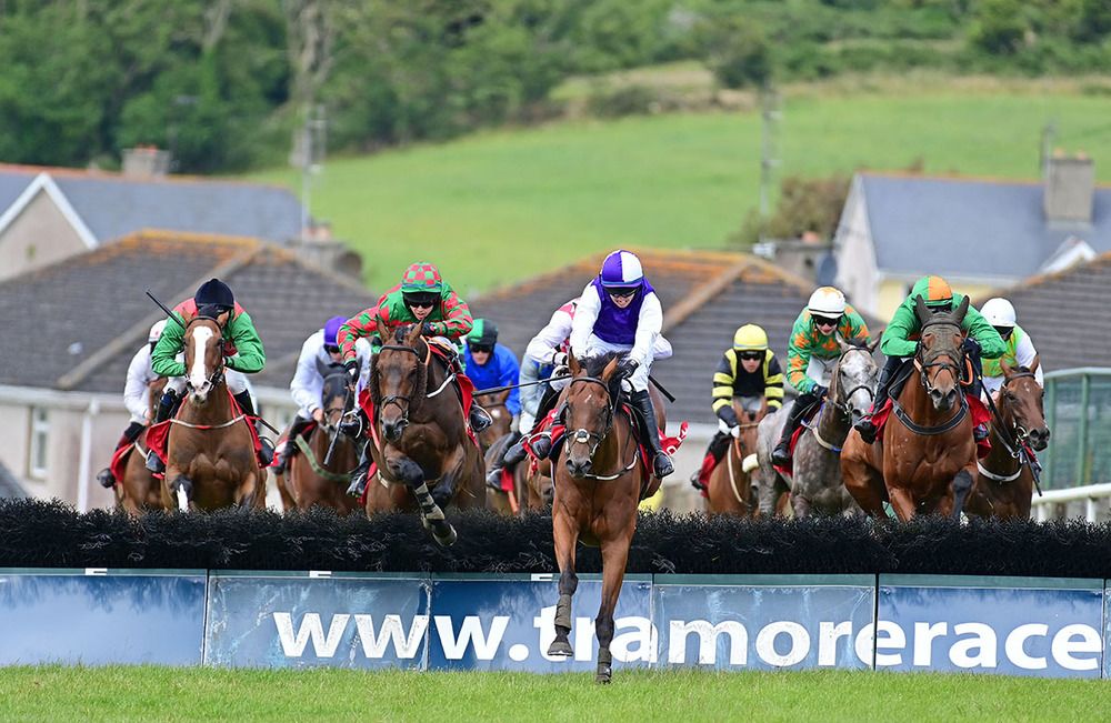 Shantou Warrior (purple and white) 