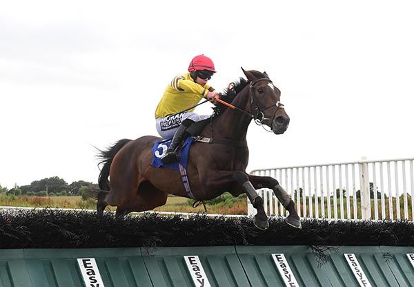 Mister Beeton at the final flight