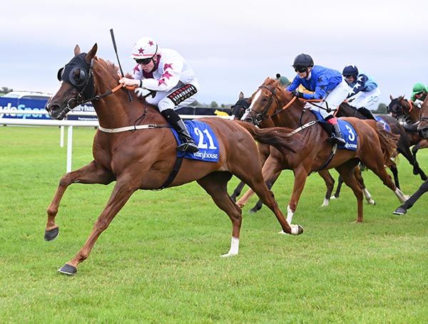 The Cola Brasil and Jake Coen win at Fairyhouse 
