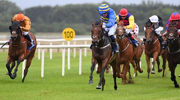 Cool Leader and Billy Lee win at Fairyhouse 