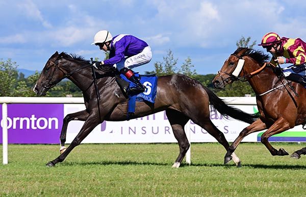 Flame Of Eire holds Clarinbridge