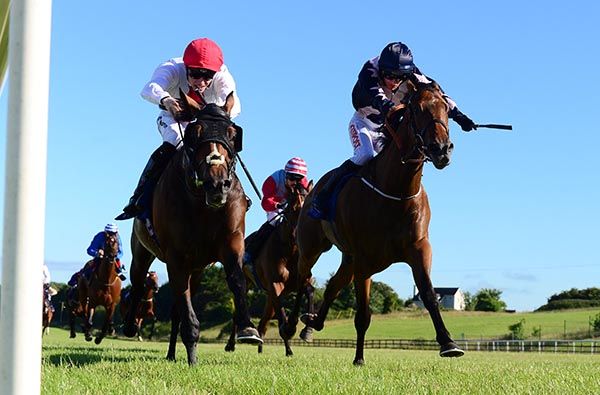 Sir Antonino (left) holds Roman Bull 