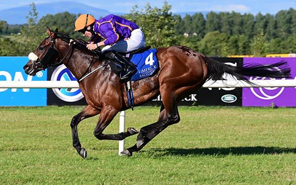 Himalayan Beauty and Tom Madden