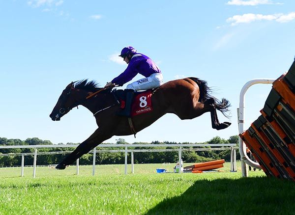 Lihyan gave trainer Josh Halley a first winner 