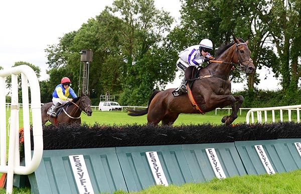 Whatdoyawanttoknow won at 66/1 under Gearoid Brouder 