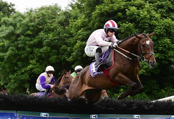 As Tears Go By wins under Jordan Gainford 