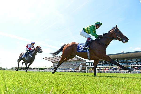 Hypernova and Hugh Horgan win the fairyhouse ie Maiden 