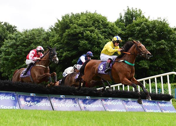 Innisfree Beauty beat former stablemate at Sligo 