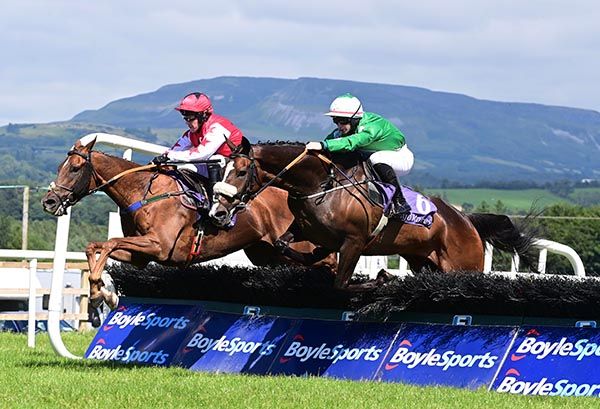 Skippin Court and Neil Ryan land Sligo gamble 