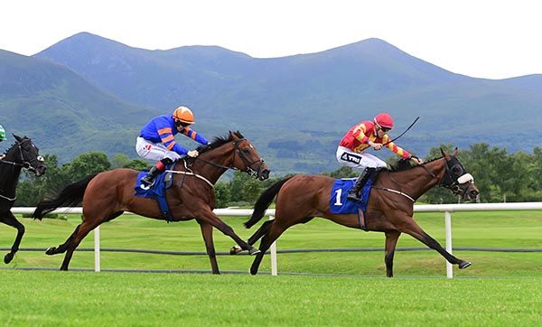 Charterhouse beats Hale Bopp 