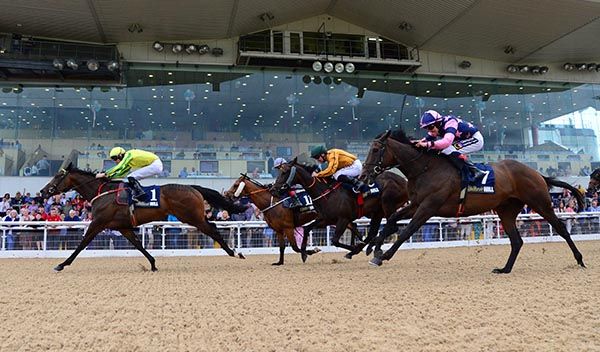 Brushwork leads home his rivals under Donagh O'Connor