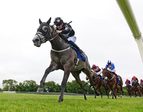 Milestone Payment leads home her rivals under Billy Lee