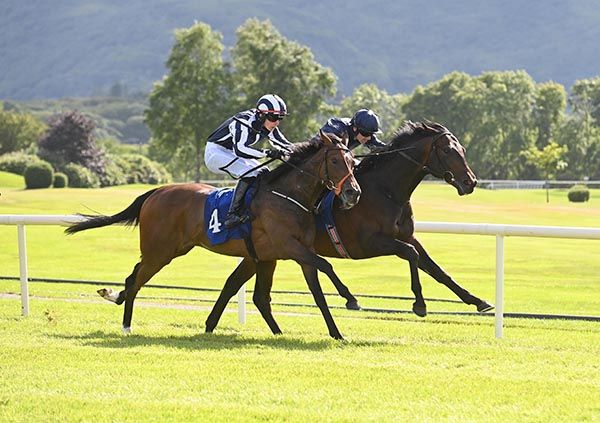 Papilio (hanging left) and Danny Gilligan with Greenland