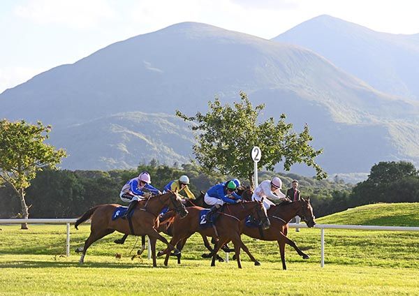 Gracesolution (left) mounts her challenge under Jake Coen
