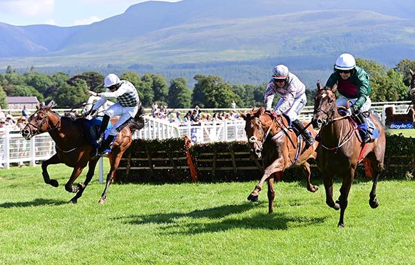 Arabian King made winning debut over hurdles 