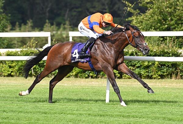 Montesilvano and Shane Crosse made most to win 