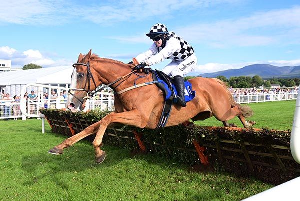 Naturally Blond doubled up at Killarney for Patrick Cronin