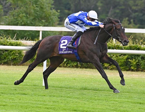 Caroline Street and Shane Crosse win nicely on debut