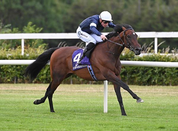 Point Gellibrand and Shane Crosse win at Leopardstown 