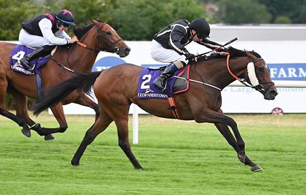 La Hacienda and Declan McDonogh 