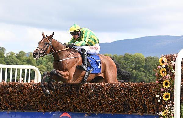 The Dara Man and Danny Mullins jump the last