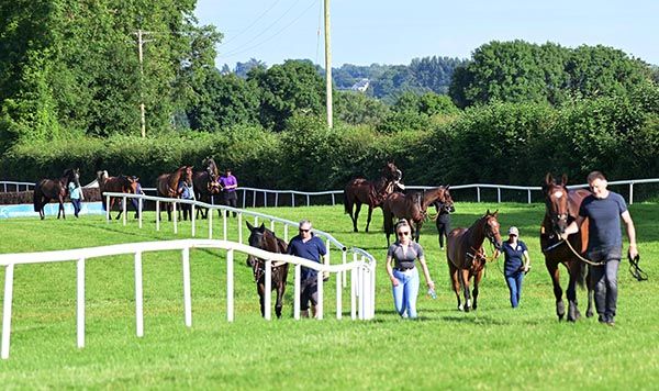 Grooms walking their horses from the stableyard to the saddling boxes